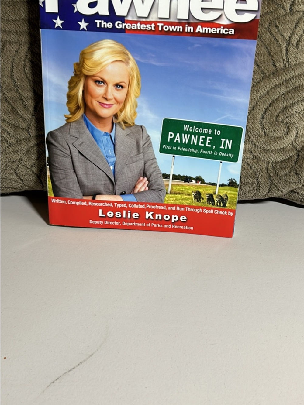 Source Unknown Pawnee Poster Book Cover - Blue, Gray, Red